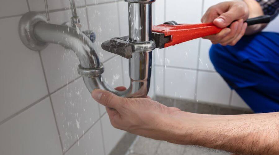 Professional Leak Detection services in Makanda, IL